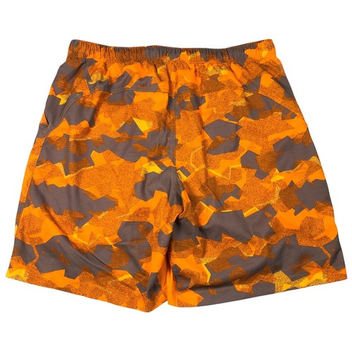 The North Face Men's Flash Dry Shorts 