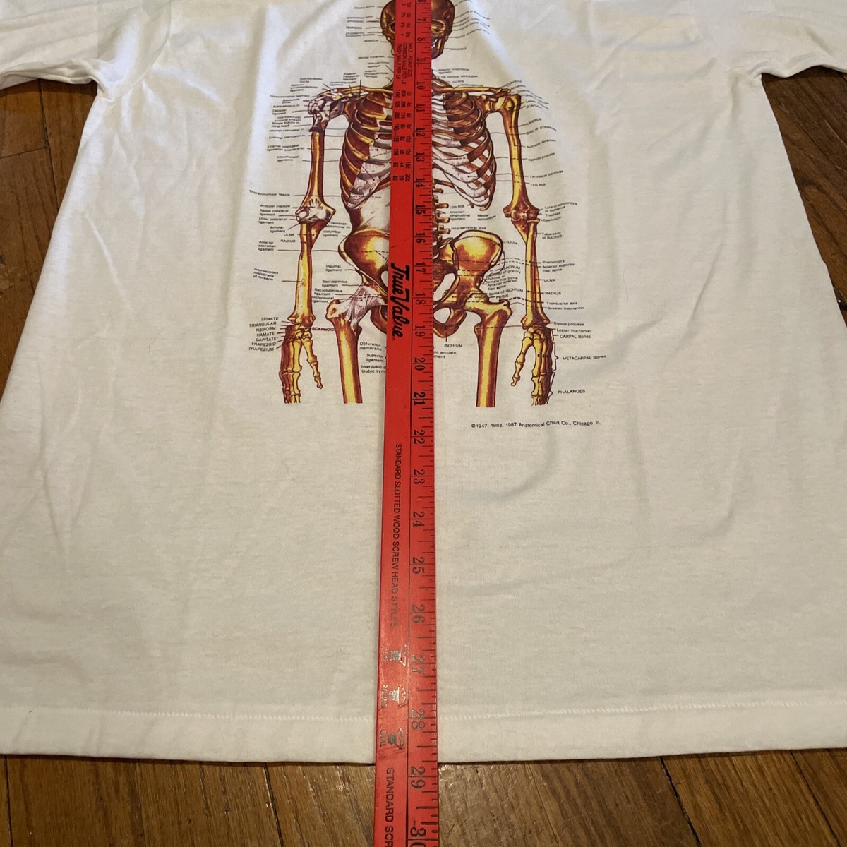 Vintage Anatomy T Shirt Skeleton Anatomical Chart Co Size