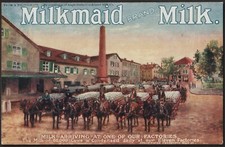 MILKMAID BRAND MILK Tuck's Celebrated Poster postcard 1504