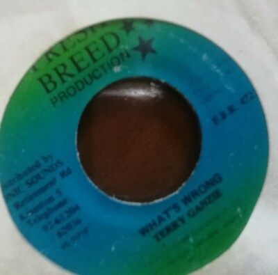 7'' TERRIE GANZIE / WHATS WRONG / FRESH RACE PRODUCTION / REGGAE / DANCEHALLL