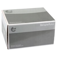 Esen Skv 56SKV754 Bremssattelhalter FüR A6 C7 A7 1.8-4.0 10.10-09.18 Audi