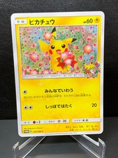 Pikachu [Pokemon Center 20th Anniversary Campaign] #224/SM-P