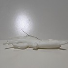 Foto 4 di 10