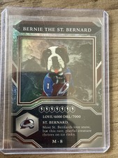 2021-22 MVP Mascots Bernie The St.Bernard