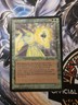 1994 MAGIC: THE GATHERING LEGENDS RARE EUREKA NM ENGLISH