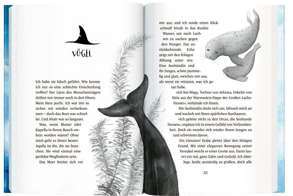 Thumbnail - Als Das Meer Bebte | Rosanne Parry | Buch | Hardcover; Mit Spotlack |