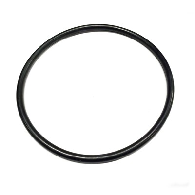 O-Ring for Waterway Champion Trap Lid - Replaces Waterway 805-0436 Free Shipping
