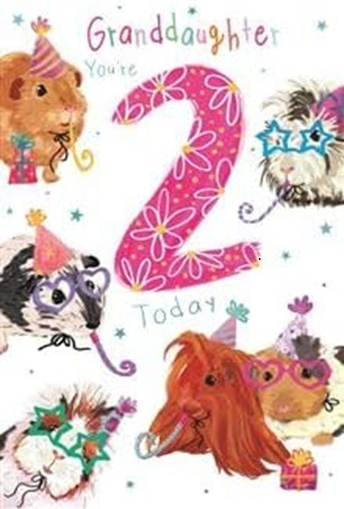 Granddaughter Age 2 Birthday Card. 23x15cm