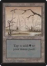 Swamp (#295) Limited Edition Beta HP MTG