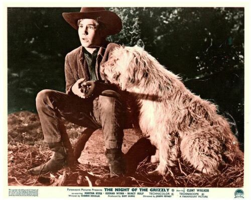 NIGHT OF THE GRIZZLY Original Lobby Card Charlie Cole with dog 1966 - 第 1/1 張圖片