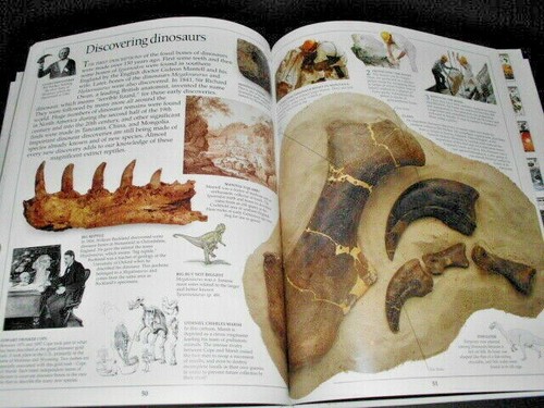 EYEWITNESS BOOKS : FOSSIL - Picture 6 of 11