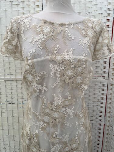 shubette ivory, gold lace overlay, lined dress BNWT size 16 kkkkkkkkkkkkk - Picture 3 of 10