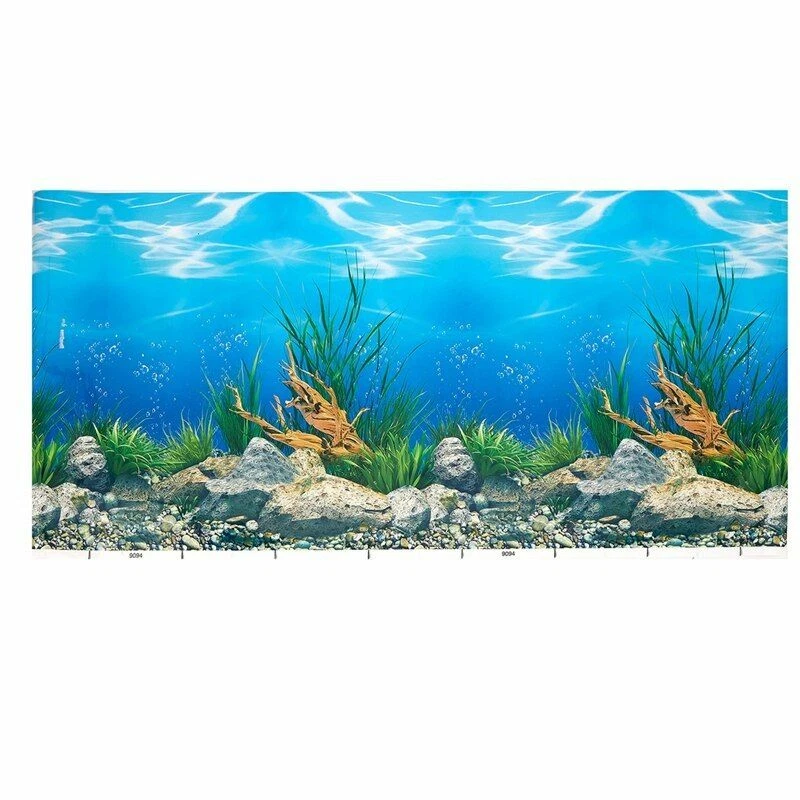 Download free Aquarium background wallpaper for phone and desktop