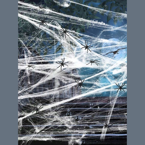 20gm Spider Web Halloween Decoration with Fake Spider for Indoor & Outdoor Party - Picture 14 of 15