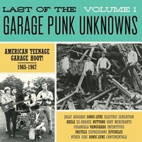 V/A - Last Of The Garage Punk Unknowns 1 - Vinyl Record - G3Z