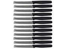 Victorinox Set of 12 Steak Knives Serrated Edge 4.5in Blade 5.1233.20 MSRP $160