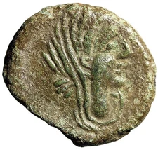 Iberia (Gaul), Neronken AE27 "Veiled Female & Bull, Wreath" Rare