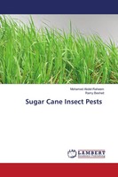 Mohamed Abdel-Raheem (U. A.) | Sugar Cane Insect Pests | Taschenbuch | Englisch