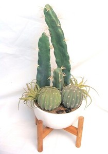 artificial Cactus Fake Cactus Decor Faux Succulents Plants decor Hobby Lobby