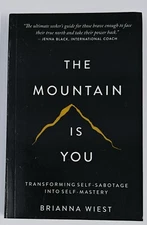 THE MOUNTAIN IS YOU BY BRIANNA WIEST
