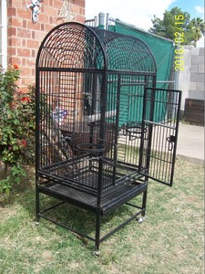 Bird,bird cage,bird bath,bird feeders,bird house