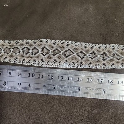 Authentic rattlesnake western diamondback