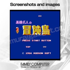 Takahashi Meijin no Boken Jima(Hudson's Adventure Island) Famicom/FC [Japan NES]
