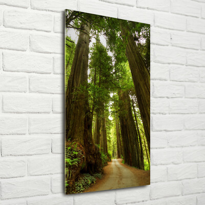 Wandbild Druck auf Plexiglas  Acryl Hochformat 70x140 Pfad im Wald