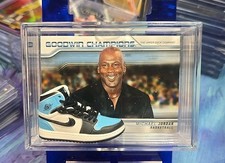 Michael Jordan In Shadow Box Case With Mini MJ -Goodwin Champions Upper Deck #76