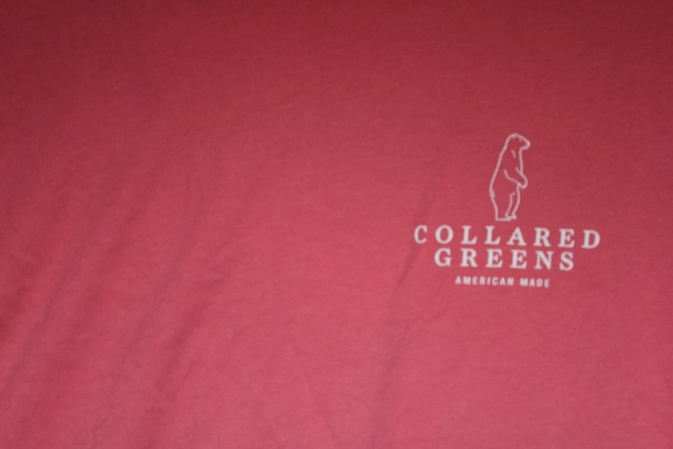 Camiseta Pullover Cuello Verde Hecha en Estados Unidos Hombres Algodón Rosa Cuello Redondo SS L Foto 2 de 4