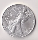 2024 W WALKING LIBERTY AMERICAN EAGLE .999 FINE SILVER DOLLAR COIN 1oz. $1 USA