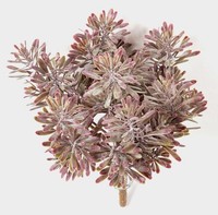 Artplants Deko Crossostephium Karahni Auf Steckstab, Burgunderrot-GrüN, 20Cm