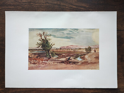 The Stream flowing from the Spring of Elisha - Antique Print- 1912