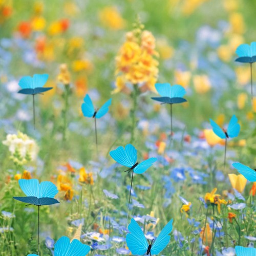10 Pcs Gartenbutterfly -Stapel Schmetterlingspfähle Gartenschmetterlingseinsatz - Bild 4 von 12