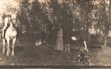 Old Man Riding a White Horse & Lady with Brown Horse Vintage Postcard RPPC Photo