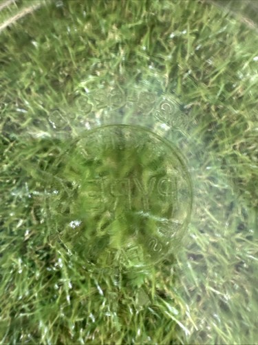 Vintage Pyrex Clear Glass Casserole Dish Round Scalloped Handle 023-623B No Lid - Picture 3 of 6