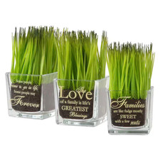 Artificial Assortment-Square Glass Pot Printe...