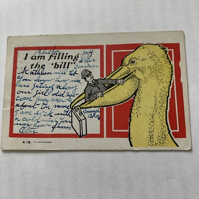 Vintage Postcard 1906 I Am Filling The Bill Man Pelican 1 Cent Stamp
