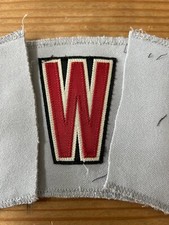 Astros Game Used MiLB Jersey Nameplate Letter Patches - Letter W