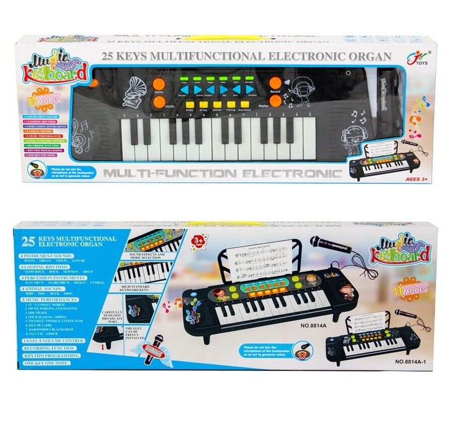 BlackZone Kids Piano Keyboard, Electronic Organ Multi-Function Portable,  with Microphone, for Beginners Kid Musical Toys Pianos for Girls Boys Ages