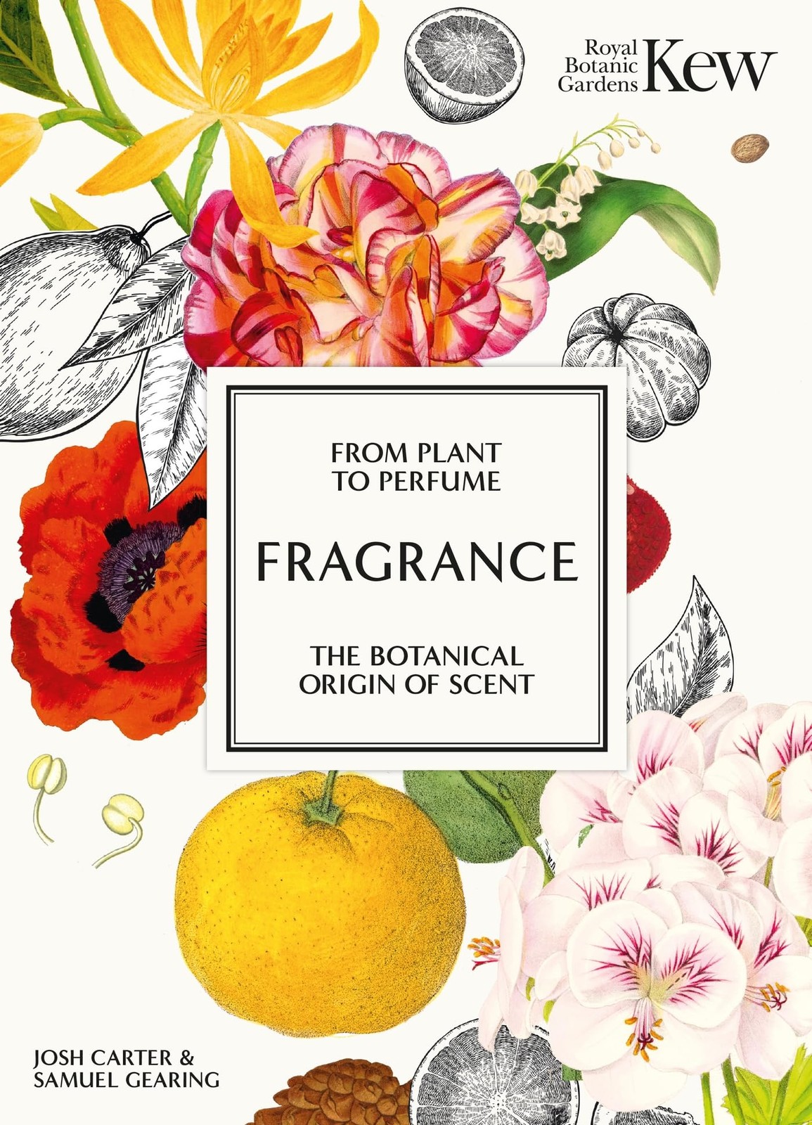 Fragrance: From plant to perfume, the botanical origins of scent by Josh Carter - Image 7