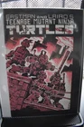 Teenage Mutant Ninja Turtles #1 3rd Print Mirage 1985 Eastman & Laird TMNT 6.0
