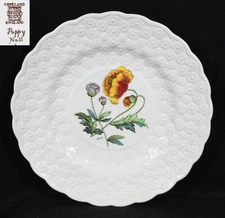 Spode Bermuda Flowers Luncheon Plate Poppy 9 1/8"