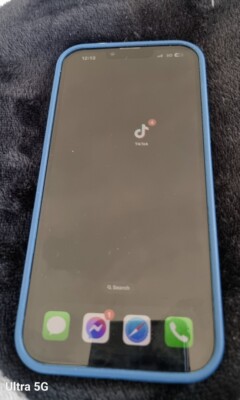 iPhone 13 Pro Max With TikTok Installed.