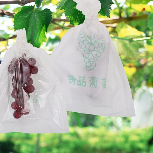 100 Pcs Grape Packaging Bag Fruit Protective Bags Protection Grow - Picture 10 of 12