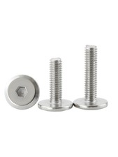 304 Stainless Steel Electrophoretic Hex Socket Large Head Screws M4/M6/M8