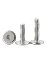 304 Stainless Steel Electrophoretic Hex Socket Large Head Screws M4/M6/M8