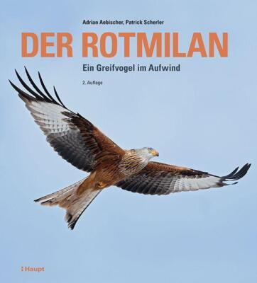 Der Rotmilan | Buch | 9783258083230