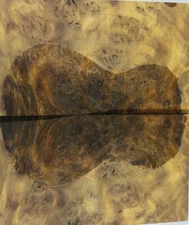YK137 Wormhole Gold Phoebe Wood burl Ukulele Tonewood Back Sheet 292mmx345mmx5mm