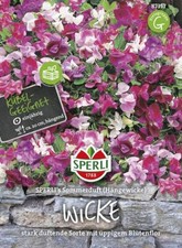 Wicke Sperling's Sommerduft